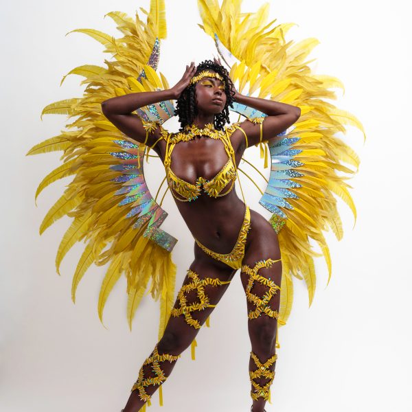 Solar Flare - Female - Frontline w/ Large Wings