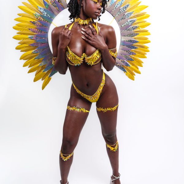 Solar Flare - Female - Midline w/ Small Wings