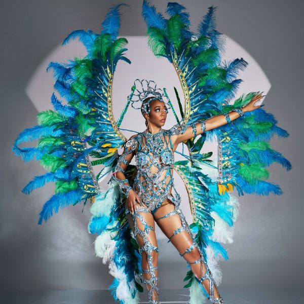 Teal Tempest - Female - Frontline w/ Large Wings