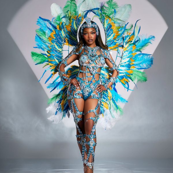 Teal Tempest - Female - Frontline w/ Medium Wings