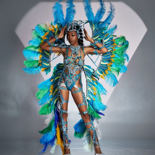 Teal Tempest - Female - Frontline w/ Small Frontline Wings